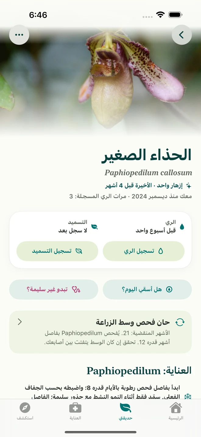 سجل أوركيد ويومياته في FloraFlor