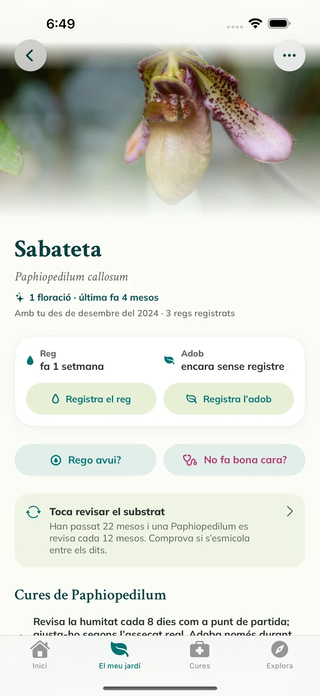 Una fitxa d’orquídia i un diari a FloraFlor