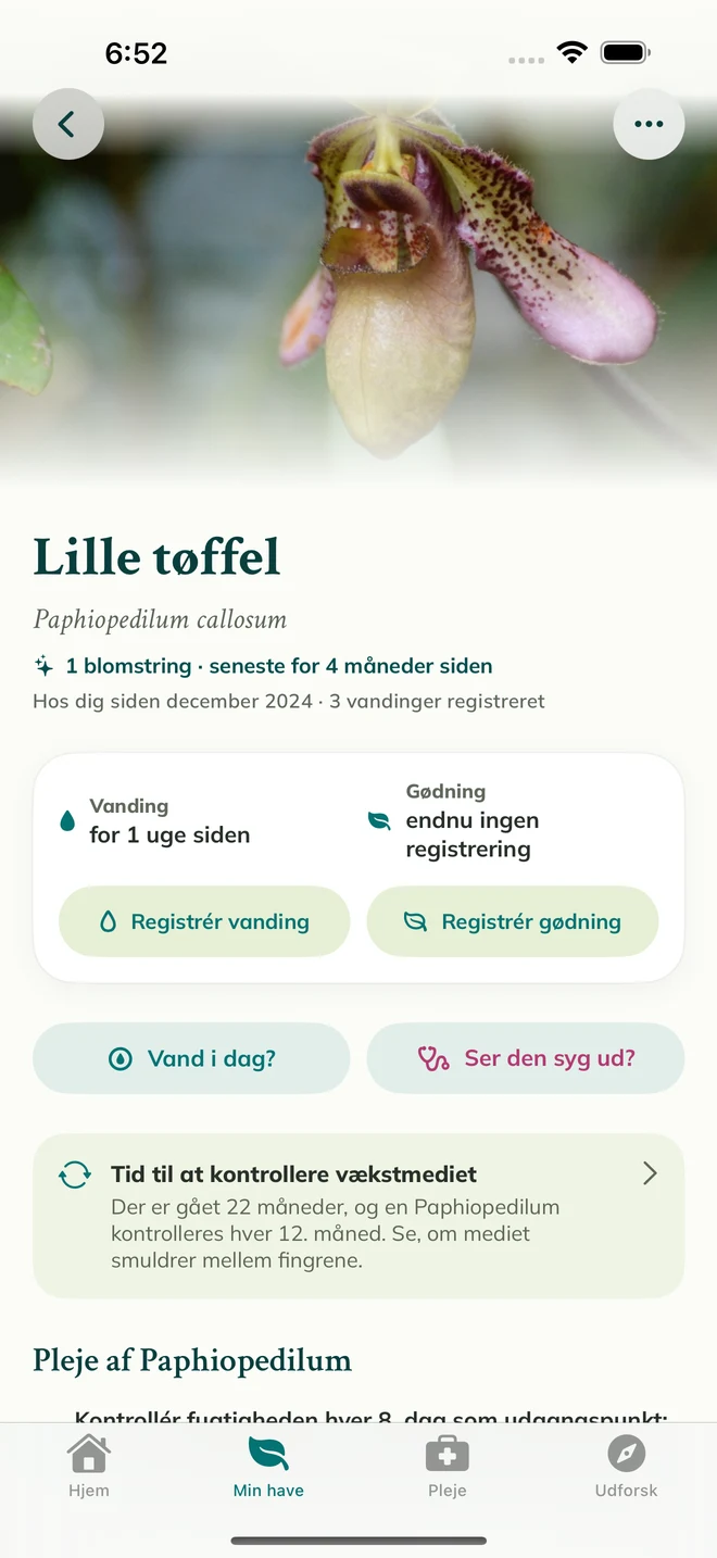 En orkidéregistrering og dagbog i FloraFlor