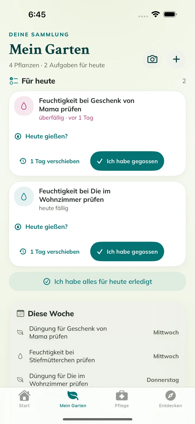 Echter FloraFlor-Bildschirm: Mein Garten und Pflegeerinnerungen