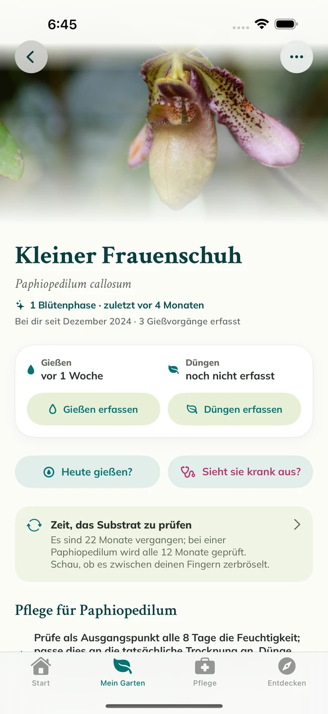 Ein Orchideeneintrag mit Tagebuch in FloraFlor