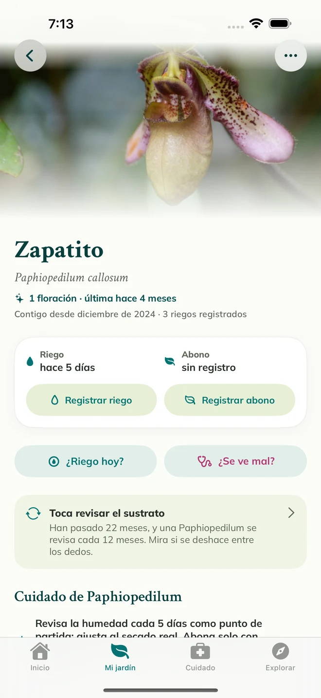 Ficha y diario de una orquídea en FloraFlor