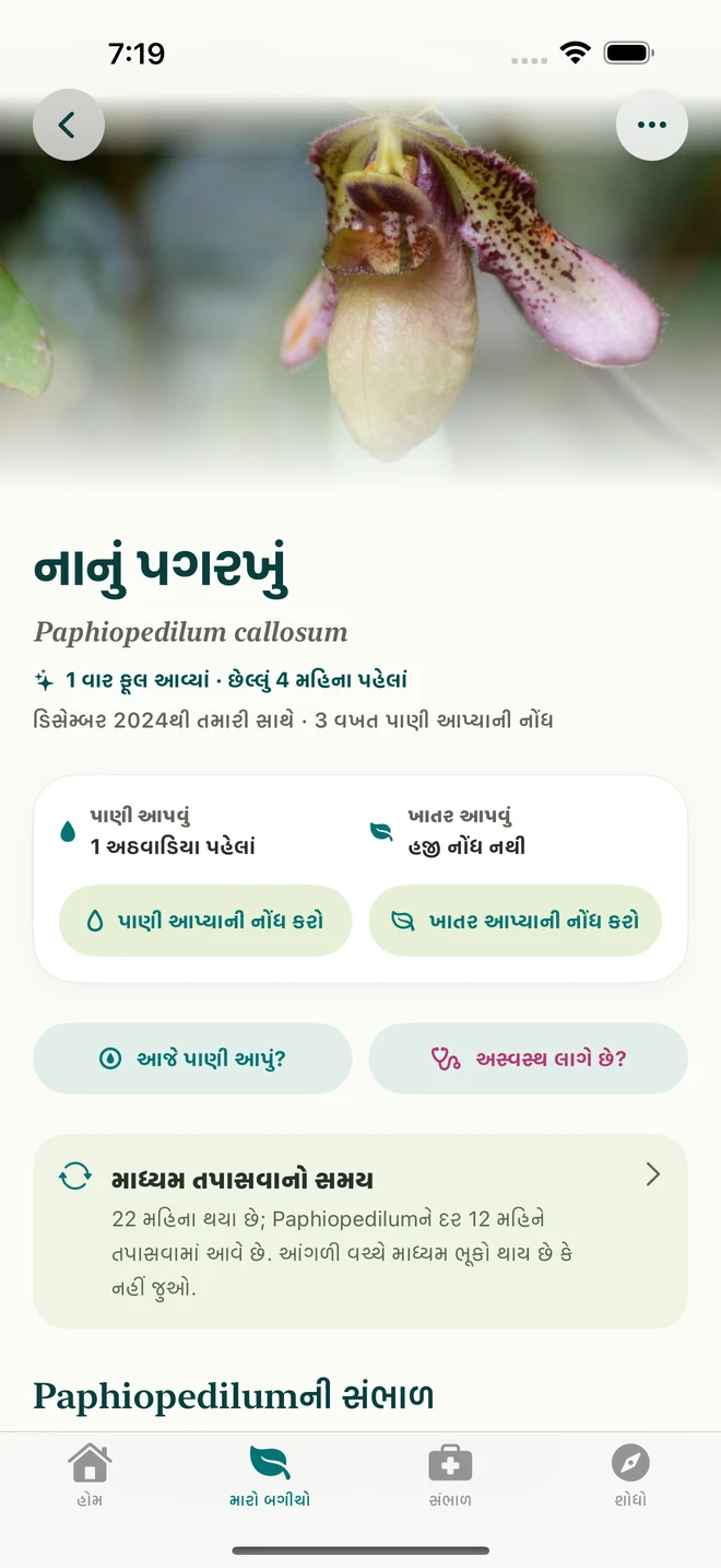 FloraFlorમાં ઓર્કિડ નોંધ અને ડાયરી