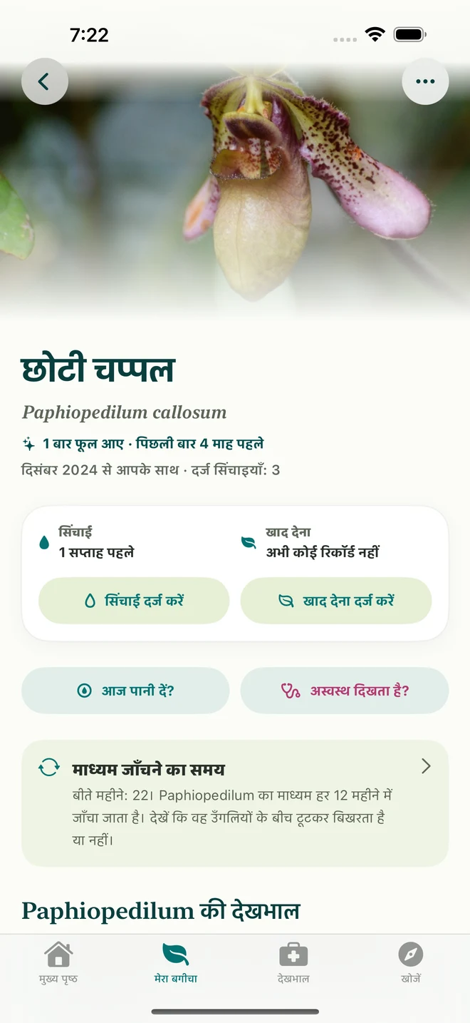 FloraFlor में ऑर्किड का रिकॉर्ड और डायरी