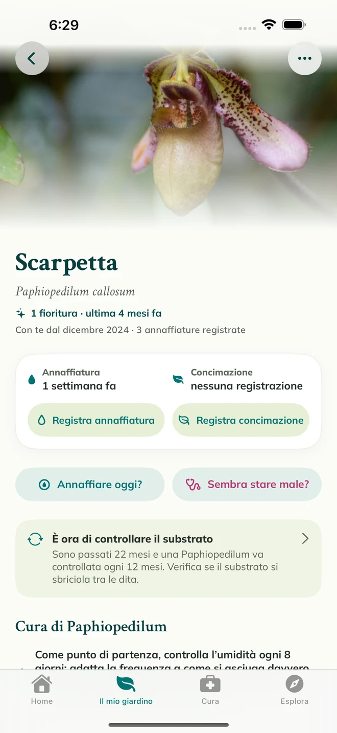 Scheda e diario di un’orchidea in FloraFlor
