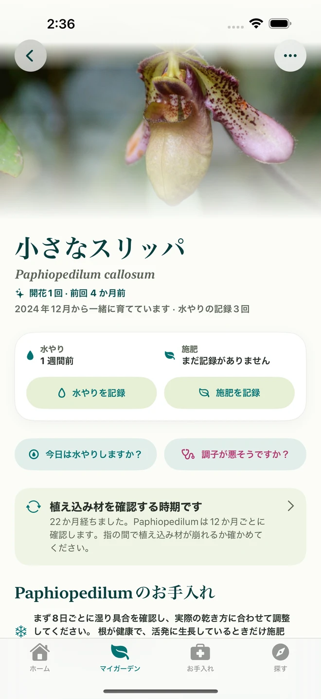 FloraFlorの株の記録と日記