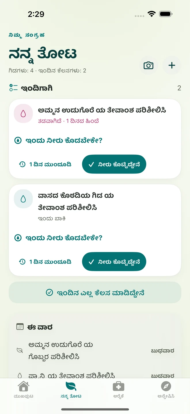 FloraFlor ನಿಜವಾದ ಪರದೆ: ನನ್ನ ತೋಟ ಮತ್ತು ಆರೈಕೆಯ ನೆನಪುಗಳು