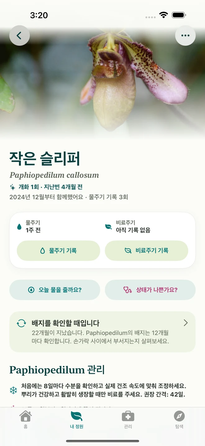 FloraFlor의 식물 기록과 일지