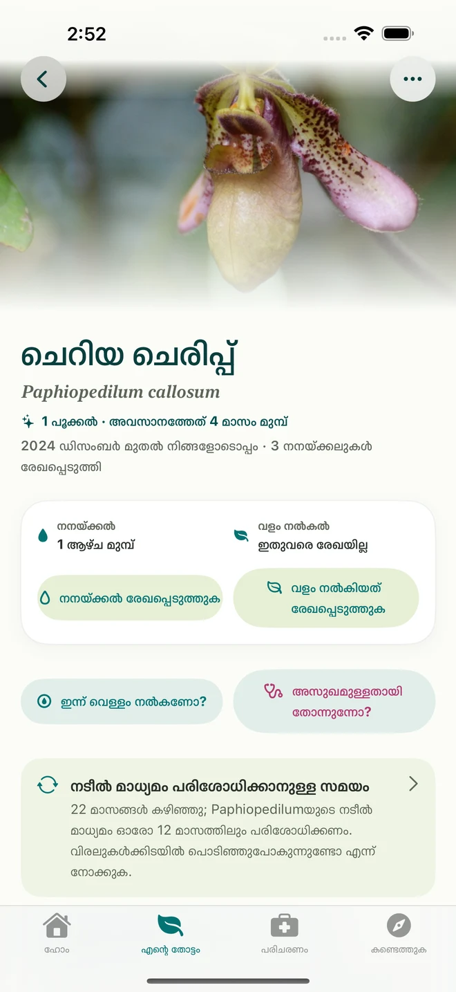 FloraFlorയിലെ ഓർക്കിഡ് രേഖയും ഡയറിയും