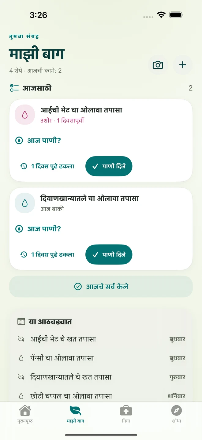प्रत्यक्ष FloraFlor स्क्रीन: माझी बाग आणि निगेच्या आठवणी