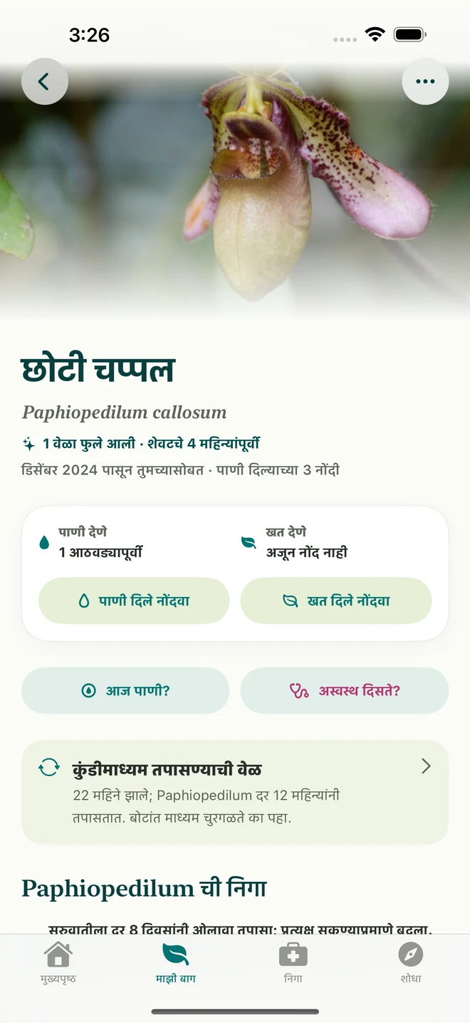 FloraFlor मध्ये ऑर्किडची नोंद आणि डायरी