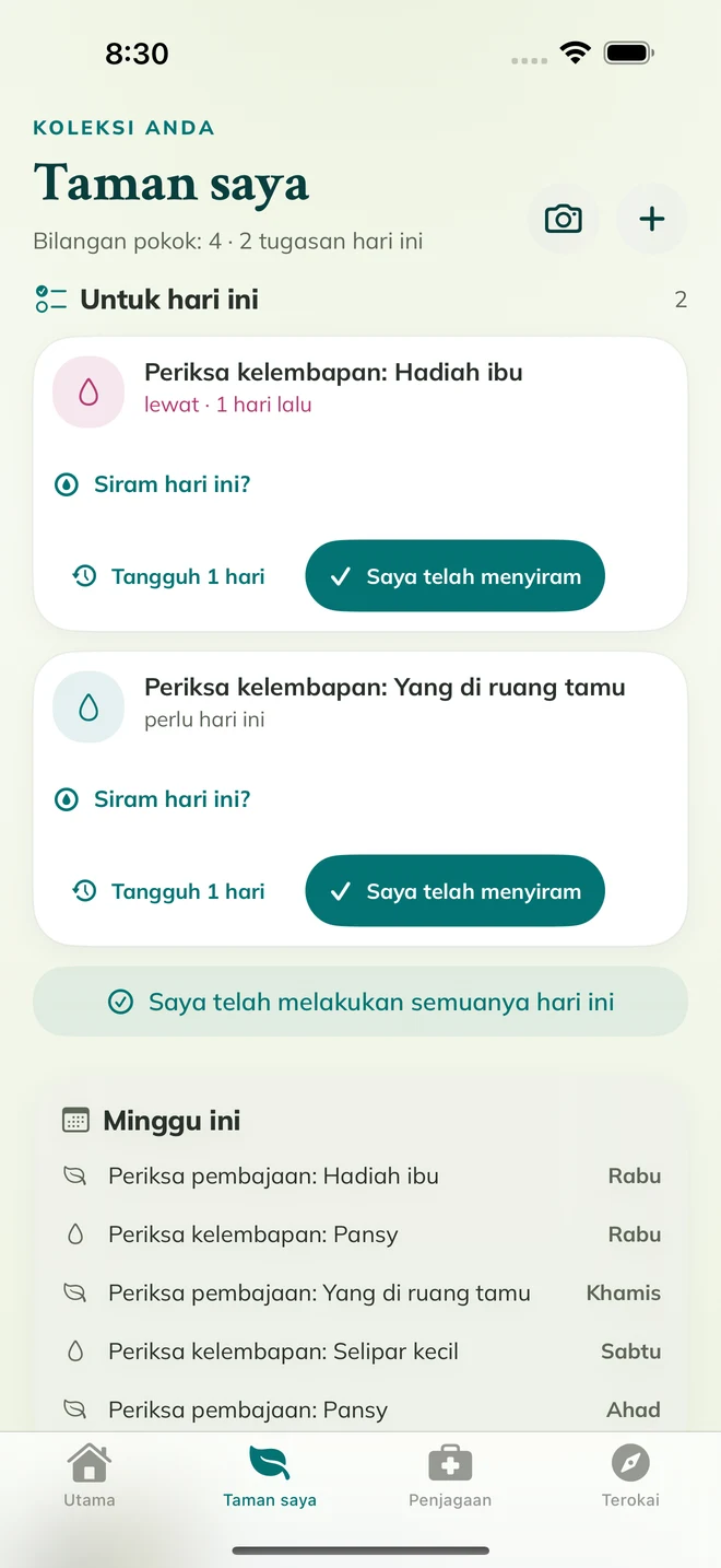 Skrin sebenar FloraFlor: Taman saya dan peringatan penjagaan
