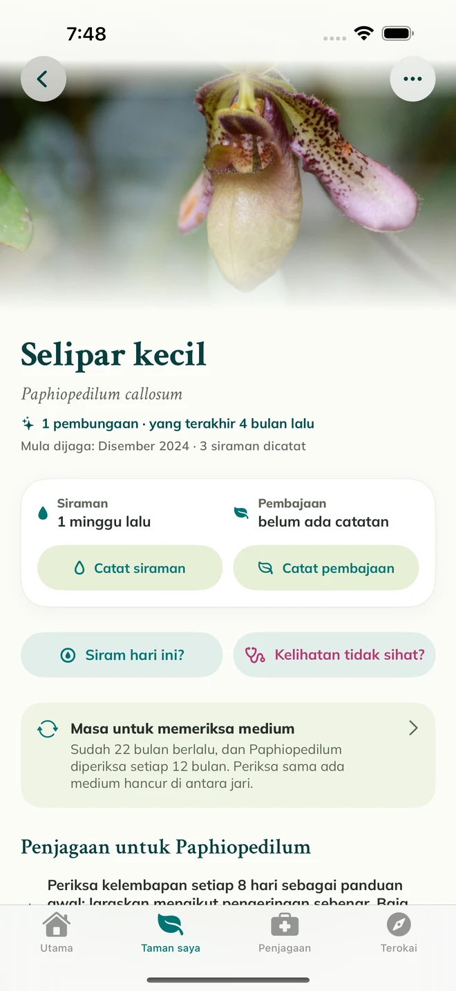 Rekod dan jurnal orkid dalam FloraFlor