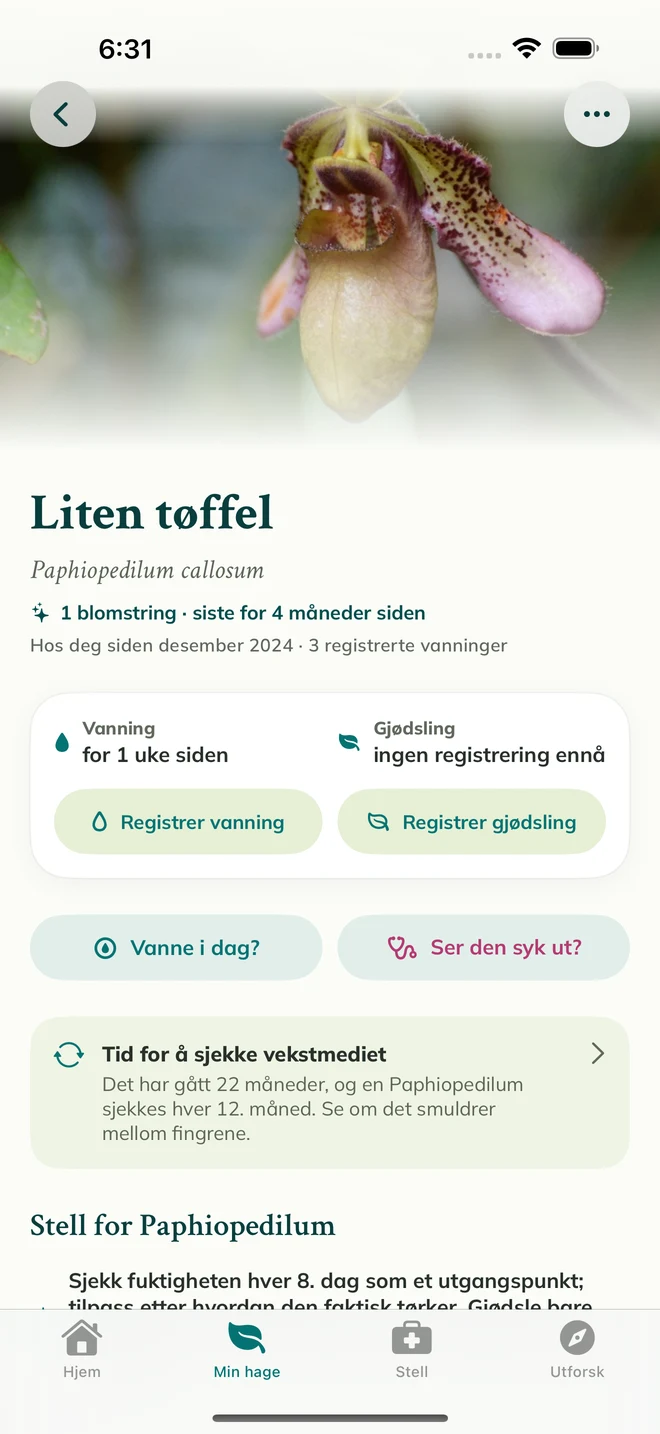 En planteoversikt og dagbok i FloraFlor
