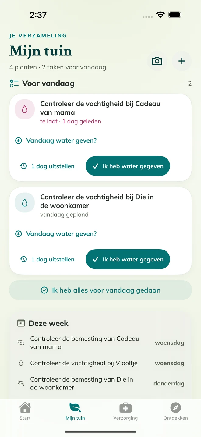 Echt FloraFlor-scherm: Mijn tuin en verzorgingsherinneringen