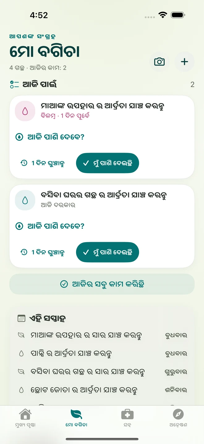 FloraFlor ର ପ୍ରକୃତ ସ୍କ୍ରିନ୍: ମୋ ବଗିଚା ଓ ଯତ୍ନ ସ୍ମାରକ
