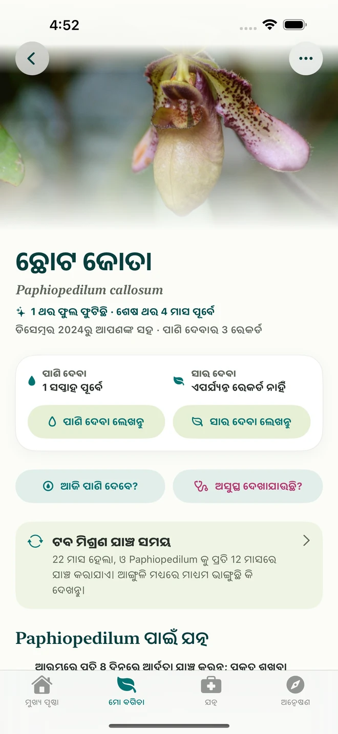 FloraFlor ରେ ଅର୍କିଡ୍ ରେକର୍ଡ ଓ ଡାଏରି