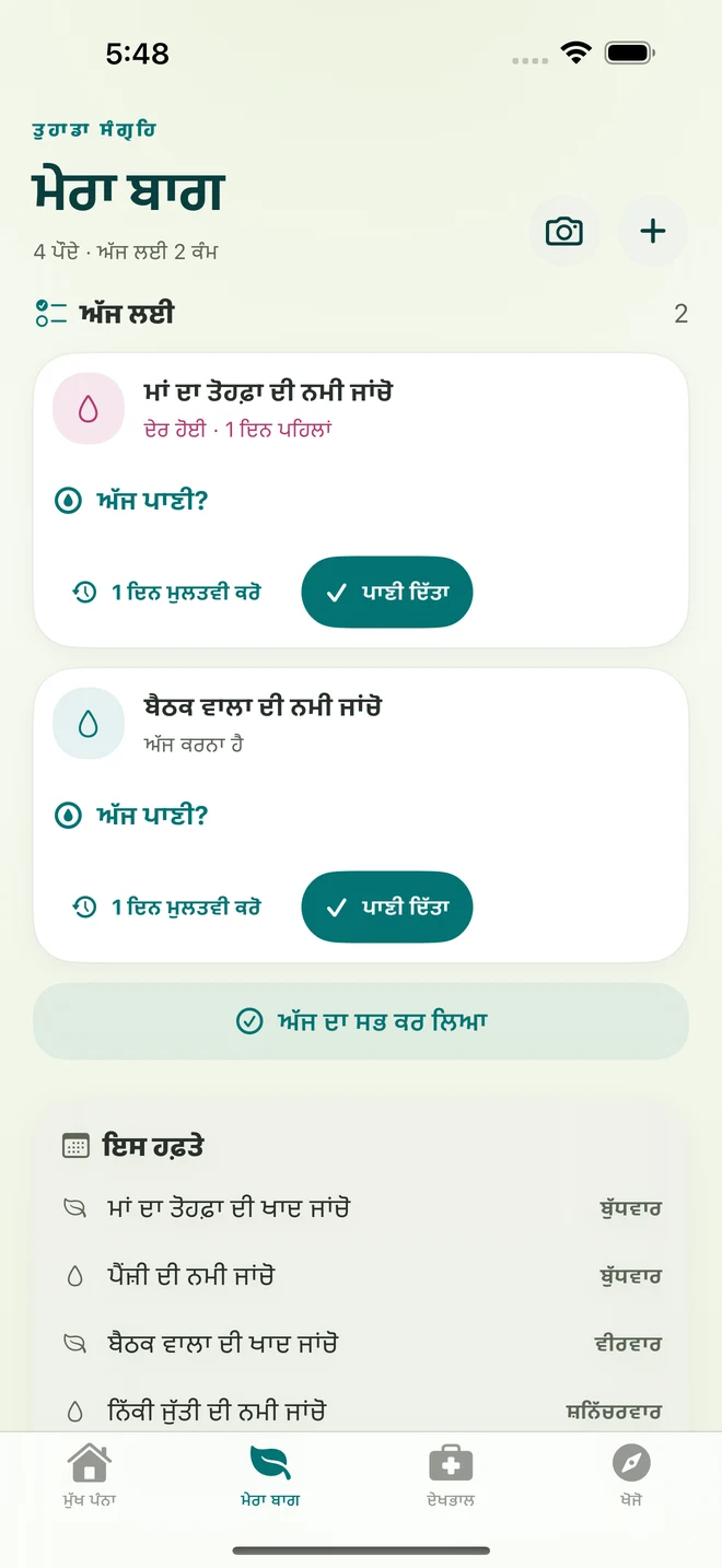 ਅਸਲੀ FloraFlor ਸਕਰੀਨ: ਮੇਰਾ ਬਾਗ ਅਤੇ ਦੇਖਭਾਲ ਯਾਦ-ਸੂਚਨਾਵਾਂ
