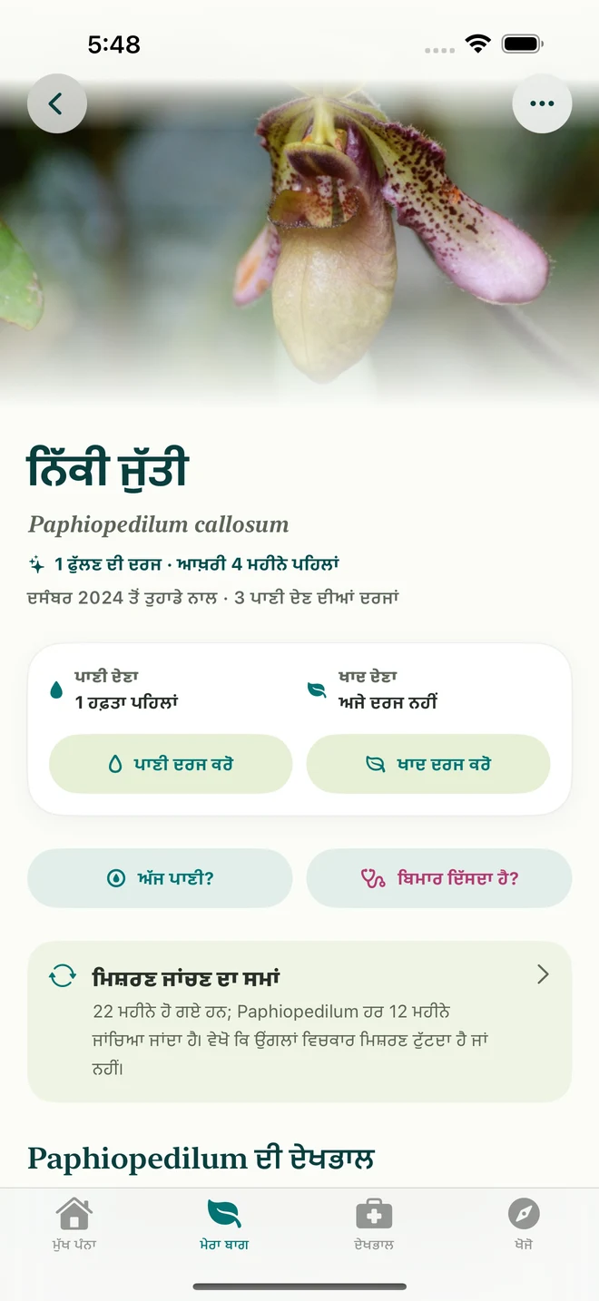 FloraFlor ਵਿੱਚ ਆਰਕਿਡ ਦੀ ਦਰਜ ਅਤੇ ਡਾਇਰੀ