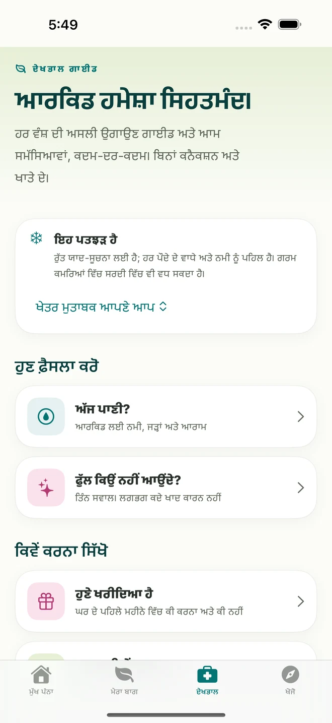 FloraFlor ਵਿੱਚ ਦੇਖਭਾਲ ਸੰਦ ਅਤੇ ਗਾਈਡਾਂ