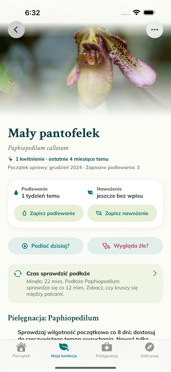 Karta orchidei i dziennik we FloraFlor
