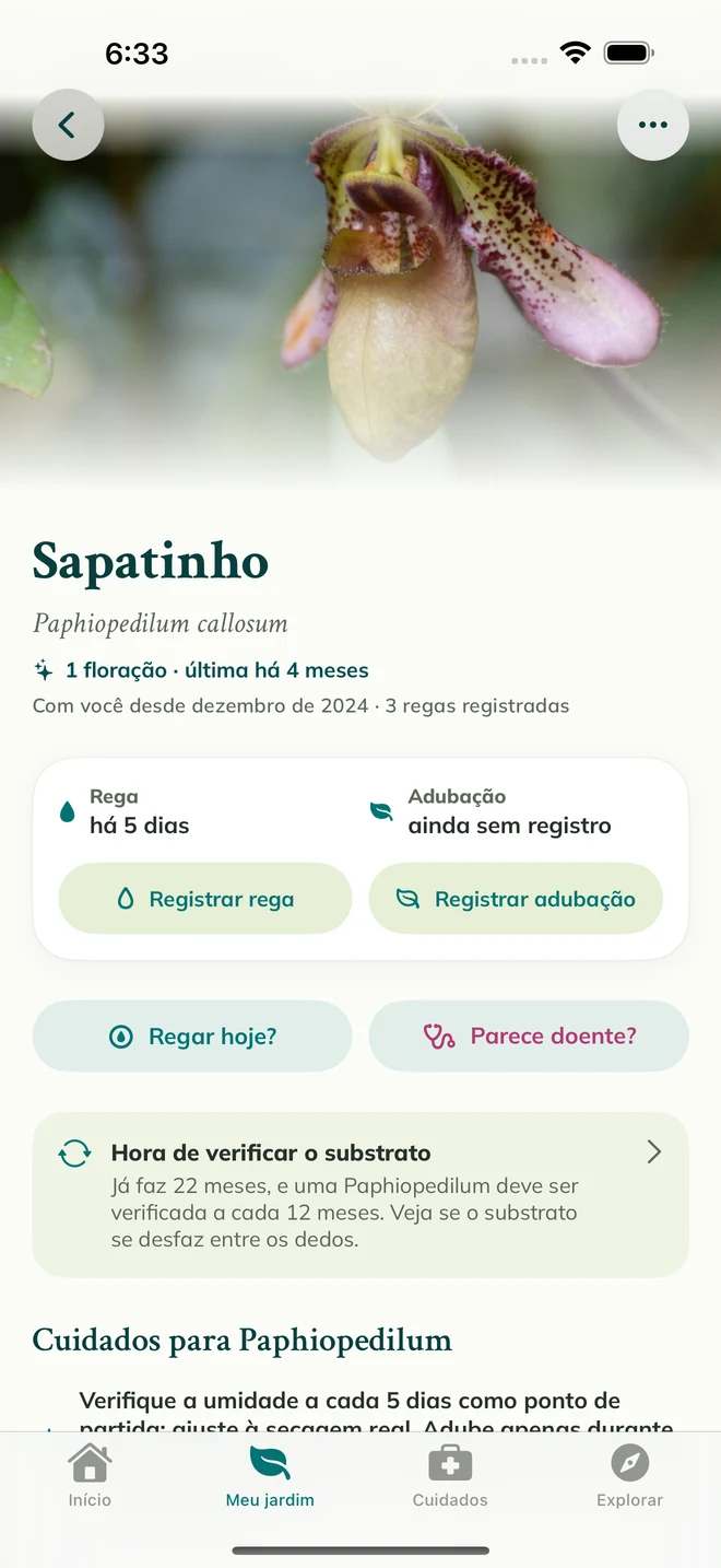 Ficha e diário de uma orquídea na FloraFlor