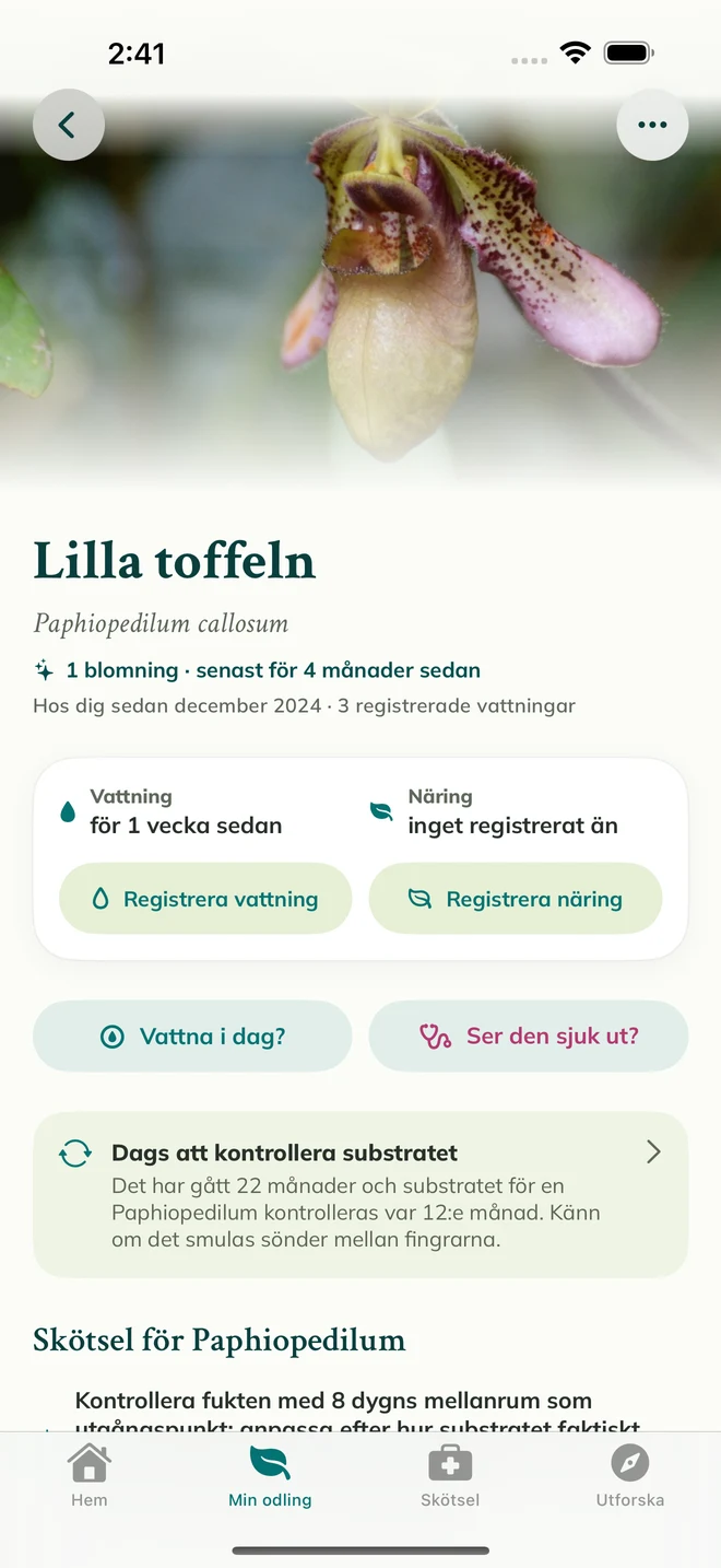 En orkidéprofil och dagbok i FloraFlor