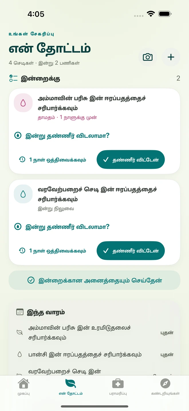 யதார்த்த FloraFlor திரை: என் தோட்டமும் பராமரிப்பு நினைவூட்டல்களும்