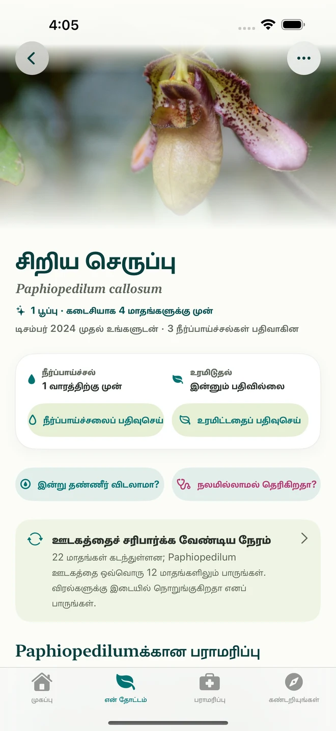 FloraFlor இல் ஆர்க்கிட் பதிவும் நாட்குறிப்பும்