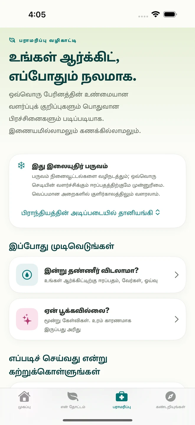 FloraFlor இல் பராமரிப்புக் கருவிகளும் வழிகாட்டிகளும்