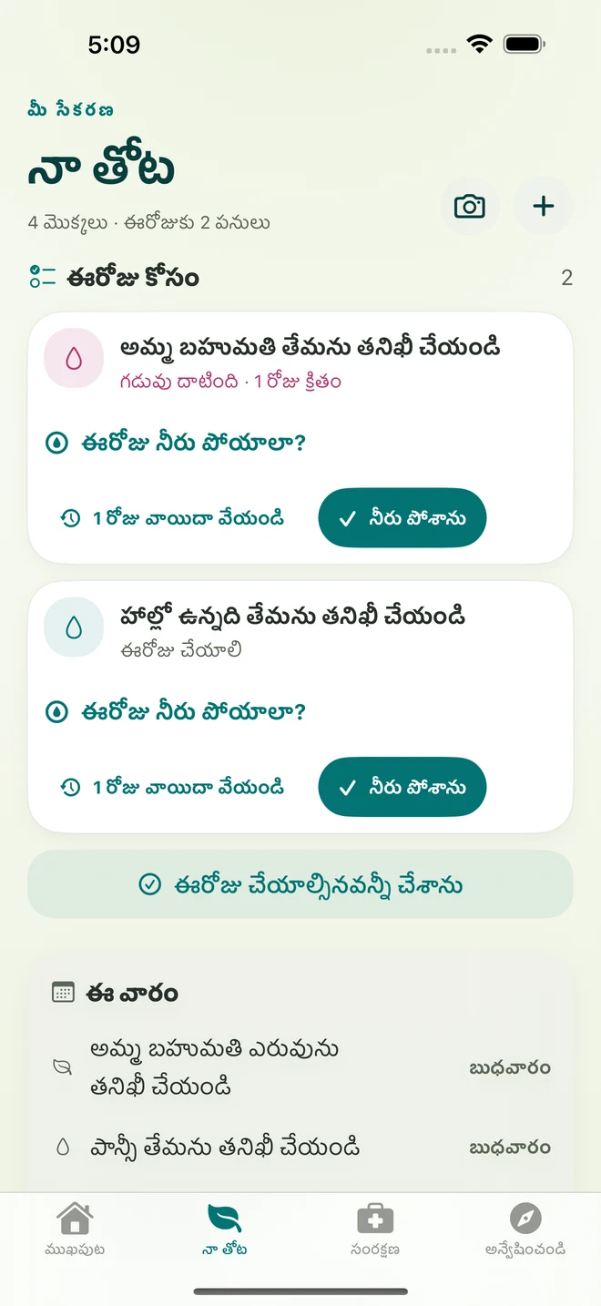 నిజమైన FloraFlor తెర: నా తోట, సంరక్షణ రిమైండర్‌లు