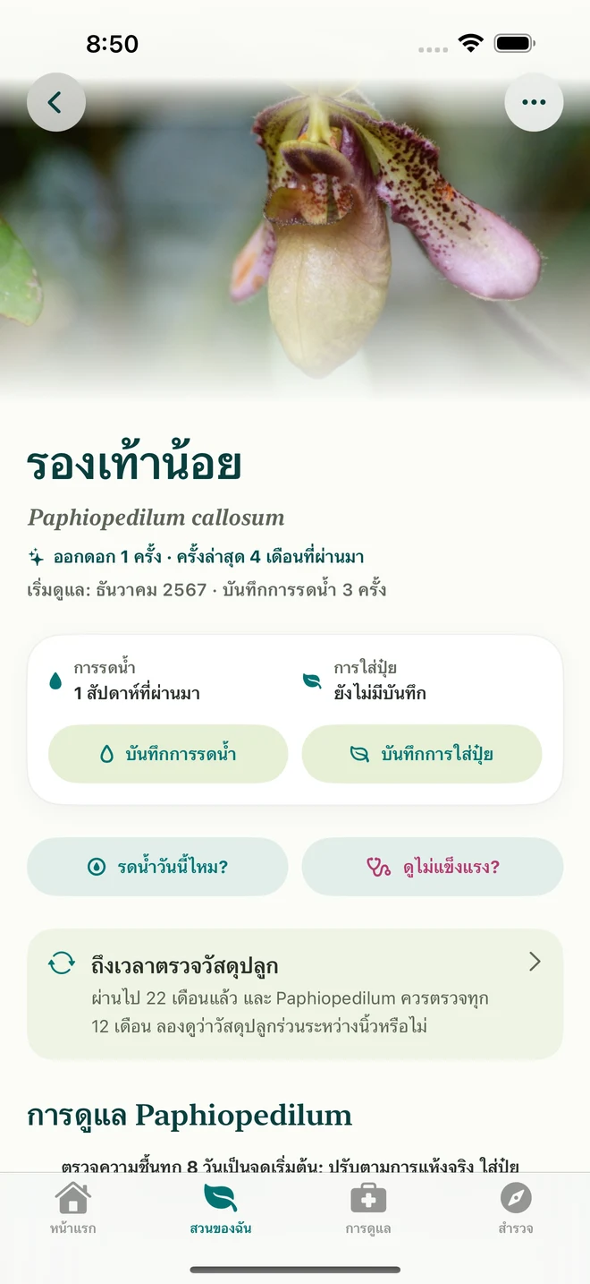 ข้อมูลต้นและสมุดใน FloraFlor