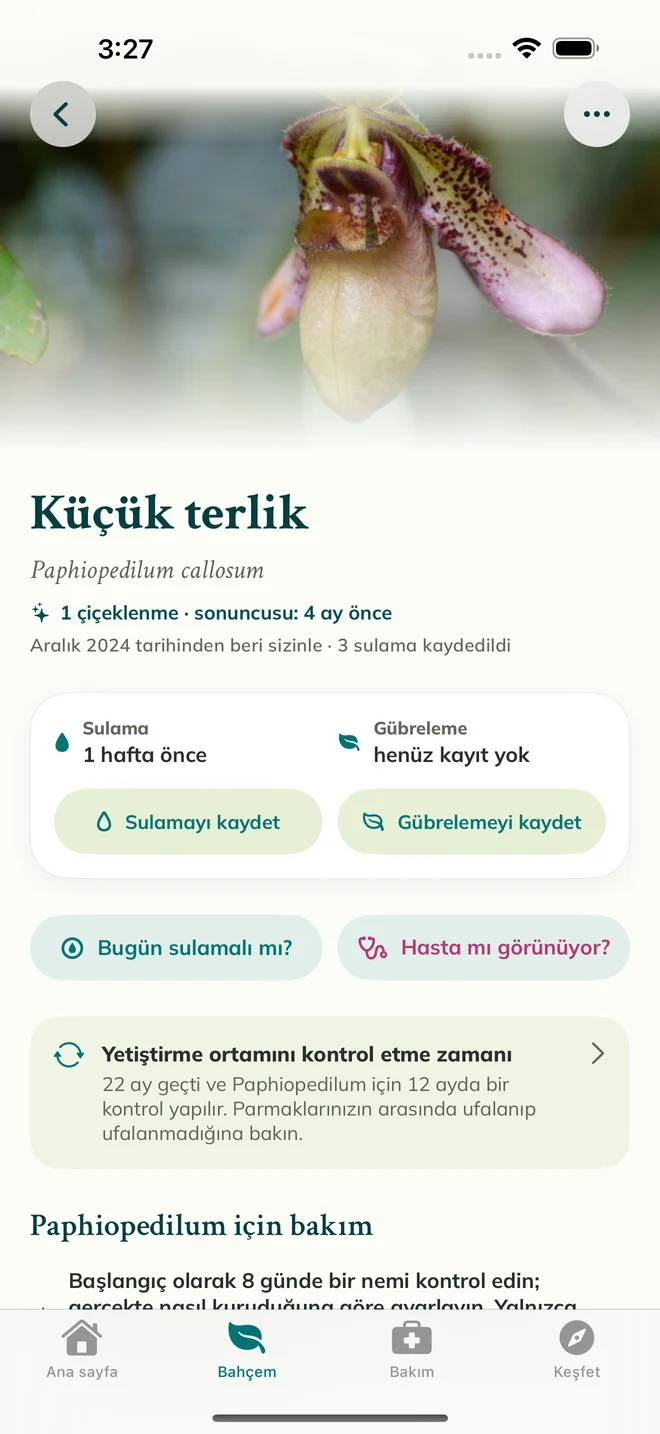 FloraFlor'da orkide kaydı ve günlüğü