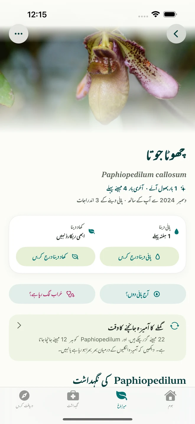 FloraFlor میں آرکڈ کا ریکارڈ اور روزنامچہ