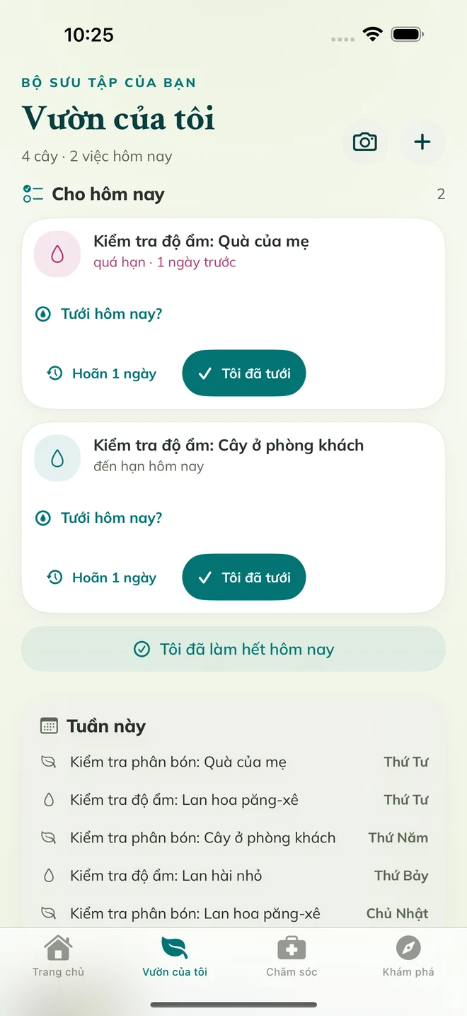 Màn hình FloraFlor thực tế: Vườn của tôi và nhắc chăm sóc