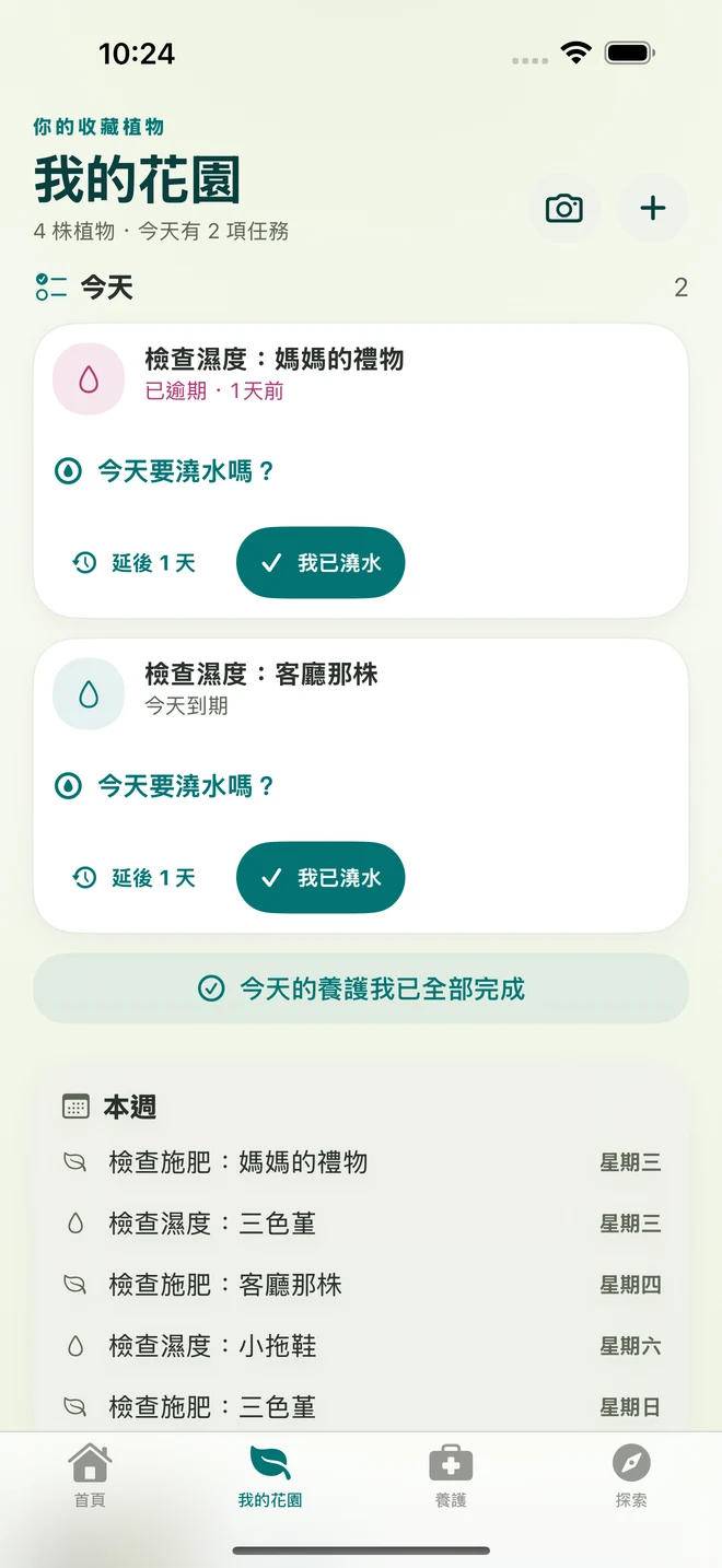 FloraFlor 實際畫面：我的花園與養護提醒